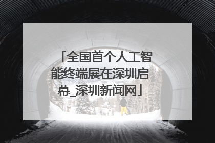 全国首个人工智能终端展在深圳启幕_深圳新闻网