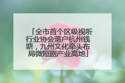 全市首个区级视听行业协会落户杭州钱塘，九州文化牵头布局微短剧产业高地