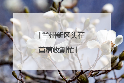 兰州新区头茬苜蓿收割忙