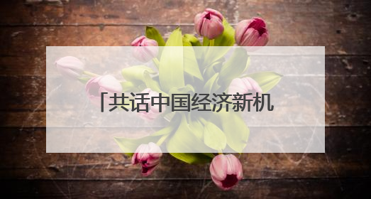 共话中国经济新机遇丨专访：期待不断深化对华经贸合作——访马耳他贸易局首席执行官布蒂吉格