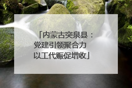 内蒙古突泉县：党建引领聚合力 以工代赈促增收