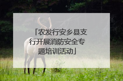 农发行安乡县支行开展消防安全专题培训活动