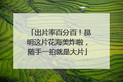 出片率百分百！昆明这片花海美炸啦，随手一拍就是大片