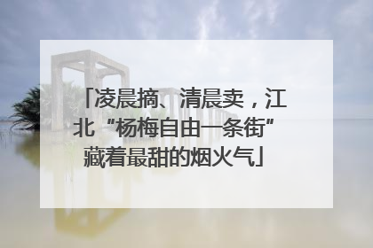 凌晨摘、清晨卖，江北“杨梅自由一条街”藏着最甜的烟火气