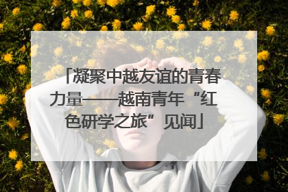 凝聚中越友谊的青春力量——越南青年“红色研学之旅”见闻