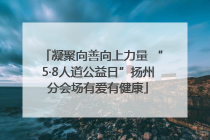 凝聚向善向上力量 “5·8人道公益日”扬州分会场有爱有健康