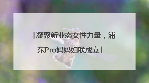 凝聚新业态女性力量，浦东Pro妈妈妇联成立
