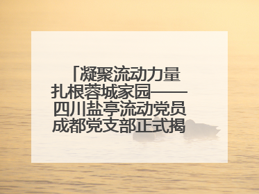 凝聚流动力量 扎根蓉城家园——四川盐亭流动党员成都党支部正式揭牌成立