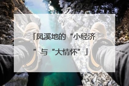 凤溪地的“小经济”与“大情怀”