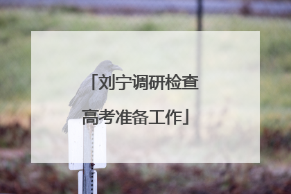 刘宁调研检查高考准备工作
