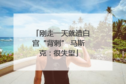 刚走一天就遭白宫“背刺” 马斯克：很失望