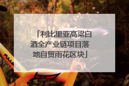 利比里亚高粱白酒全产业链项目落地自贸雨花区块