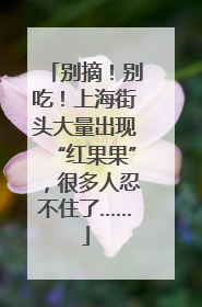 别摘！别吃！上海街头大量出现“红果果”，很多人忍不住了……