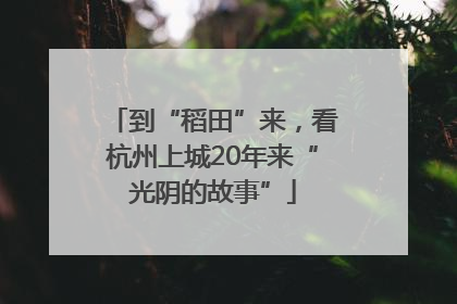 到“稻田”来，看杭州上城20年来“光阴的故事”