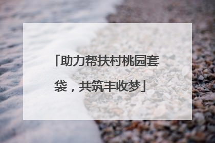 助力帮扶村桃园套袋，共筑丰收梦