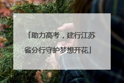 助力高考，建行江苏省分行守护梦想开花