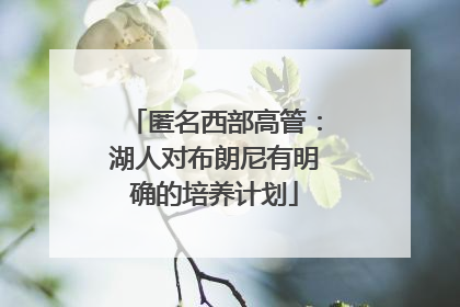 匿名西部高管：湖人对布朗尼有明确的培养计划