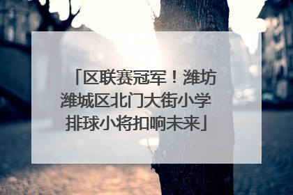 区联赛冠军！潍坊潍城区北门大街小学排球小将扣响未来
