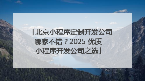 北京小程序定制开发公司哪家不错？2025 优质小程序开发公司之选