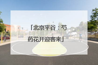 北京平谷：芍药花开迎客来