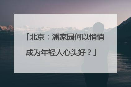 北京：潘家园何以悄悄成为年轻人心头好？