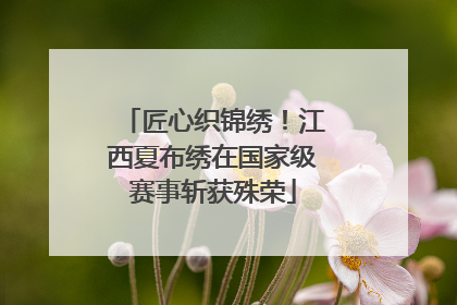 匠心织锦绣！江西夏布绣在国家级赛事斩获殊荣