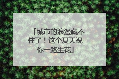城市的浪漫藏不住了！这个夏天祝你一路生花