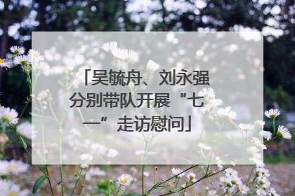 吴毓舟、刘永强分别带队开展“七一”走访慰问