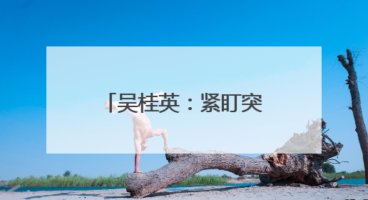 吴桂英：紧盯突出问题 从严整改整治 推动学习教育见行见效