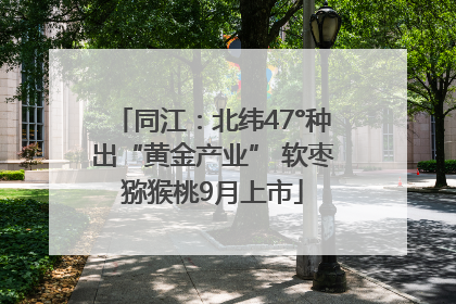 同江：北纬47°种出“黄金产业” 软枣猕猴桃9月上市