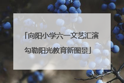 向阳小学六一文艺汇演勾勒阳光教育新图景