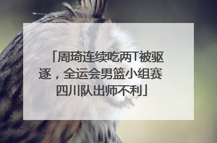 周琦连续吃两T被驱逐，全运会男篮小组赛四川队出师不利
