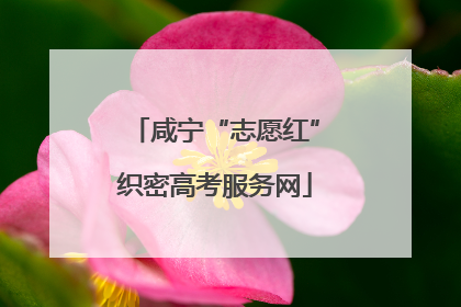 咸宁“志愿红”织密高考服务网