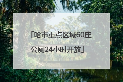 哈市重点区域60座公厕24小时开放