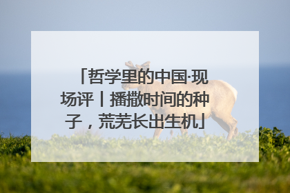 哲学里的中国·现场评丨播撒时间的种子，荒芜长出生机