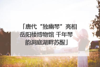 唐代“独幽琴”亮相岳阳楼博物馆 千年琴韵洞庭湖畔苏醒