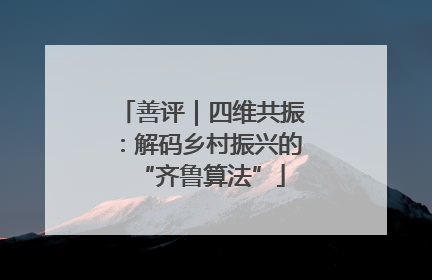 善评｜四维共振：解码乡村振兴的“齐鲁算法”