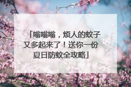 嗡嗡嗡，烦人的蚊子又多起来了！送你一份夏日防蚊全攻略