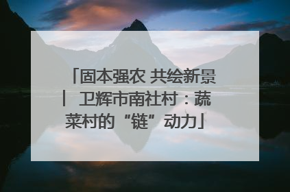 固本强农 共绘新景 ︳卫辉市南社村：蔬菜村的“链”动力