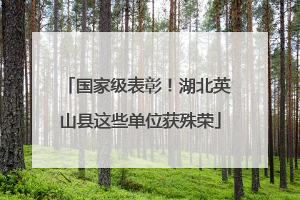 国家级表彰！湖北英山县这些单位获殊荣