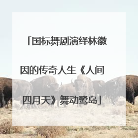 国标舞剧演绎林徽因的传奇人生《人间四月天》舞动鹭岛