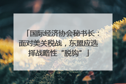 国际经济协会秘书长：面对美关税战，东盟应选择战略性“脱钩”