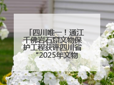 四川唯一！通江千佛岩石窟文物保护工程获评四川省“2025年文物保护优质工程”