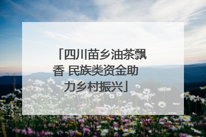 四川苗乡油茶飘香 民族类资金助力乡村振兴