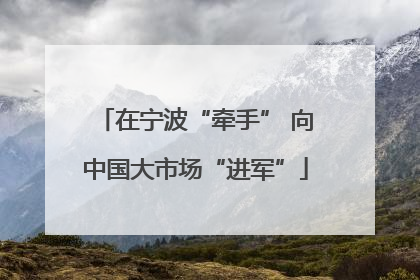 在宁波“牵手” 向中国大市场“进军”