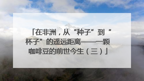 在非洲，从“种子”到“杯子”的遥远距离——一颗咖啡豆的前世今生（三）
