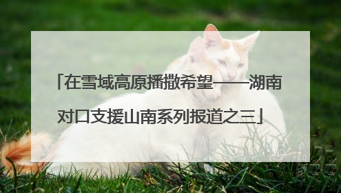 在雪域高原播撒希望——湖南对口支援山南系列报道之三