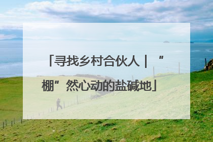 寻找乡村合伙人｜“棚”然心动的盐碱地