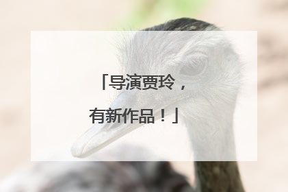 导演贾玲，有新作品！