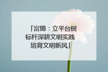 富锦：立平台树标杆深耕文明实践培育文明新风